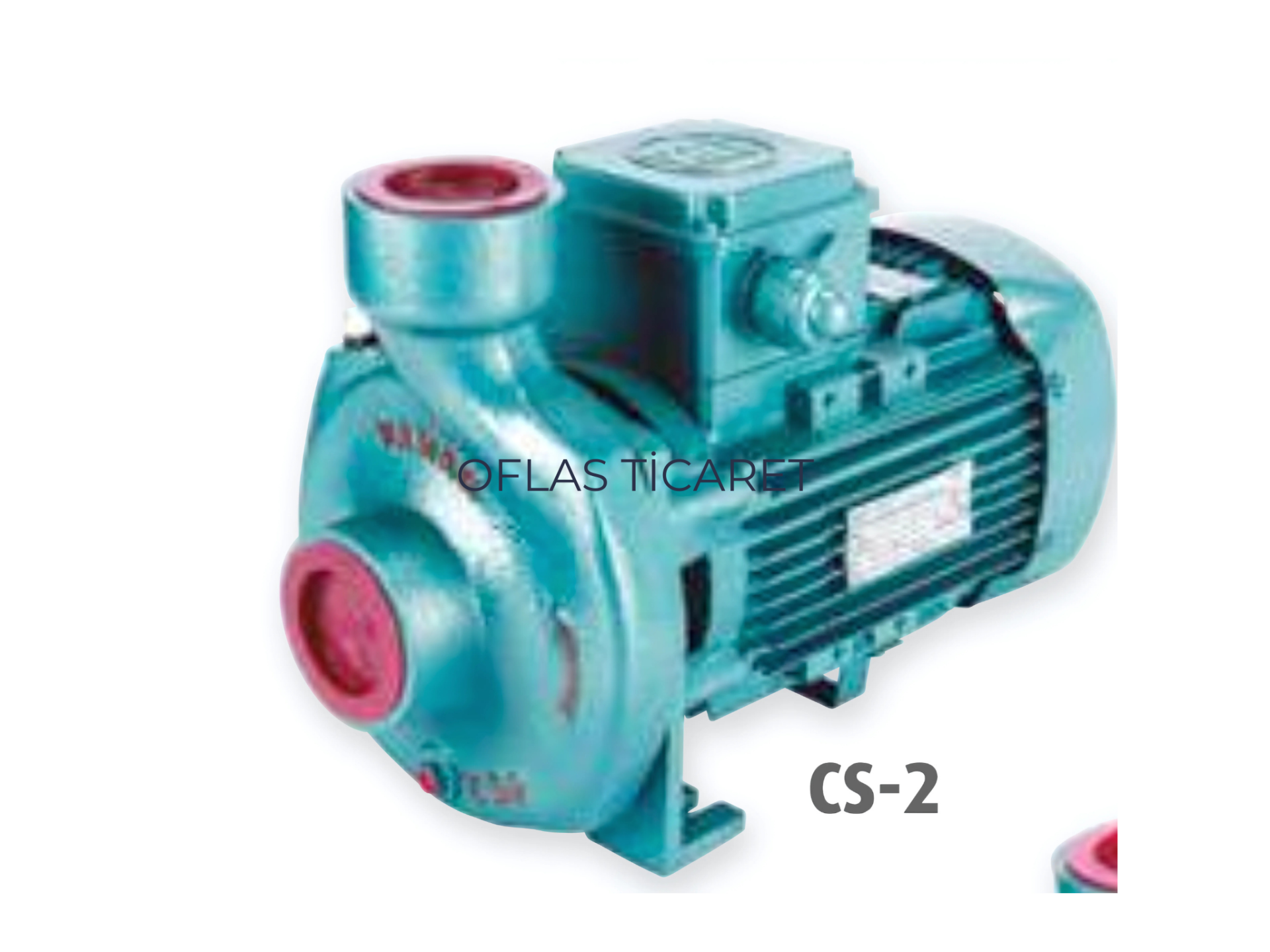 Varan CS-22 2HP Kompakt Monoblok Santrifüj Pompalar