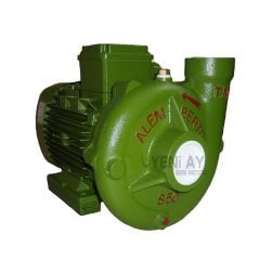 Alem Bertola S50 5,5 HP 380V Su Pompası