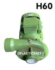 H60