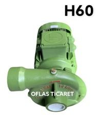 H60