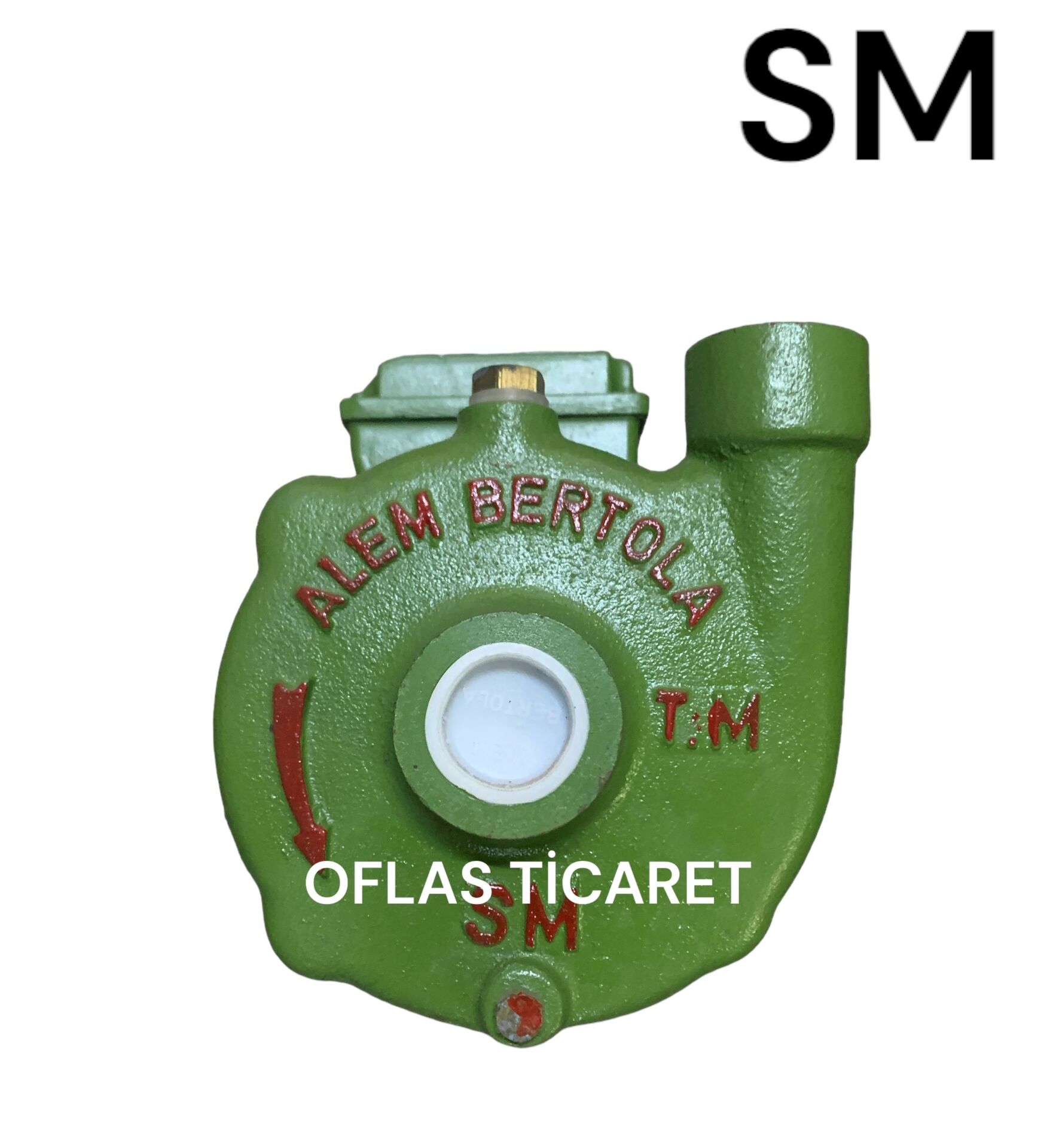 Alem Bertola SM 0,50 HP Su Pompası