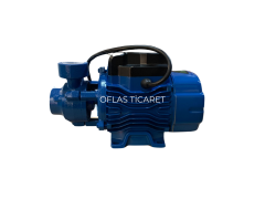 Winpo WNP 60 Preferikal Pompa 38mss 1.8m³/h Monofaze(220V)
