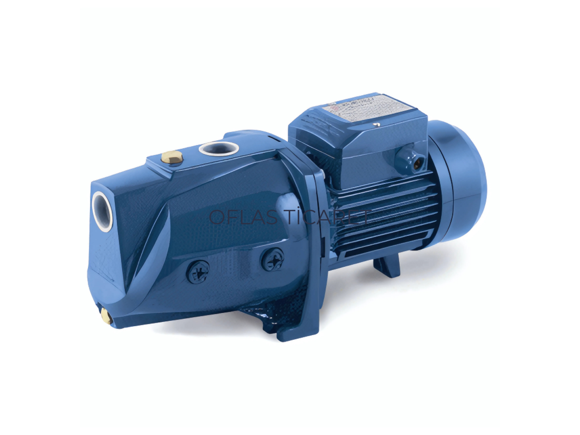 Pedrollo 1C-EX Su Pompası 230V